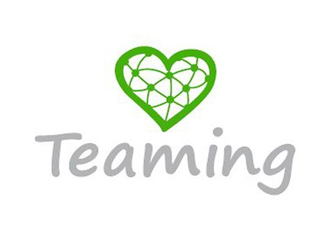 innovasocial_teaming