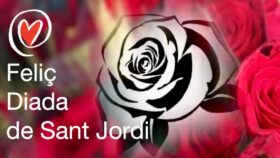 Diada de Sant Jordi 2023 amb roses i llibres solidaris