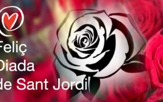 Diada de Sant Jordi 2024 amb roses i llibres solidaris