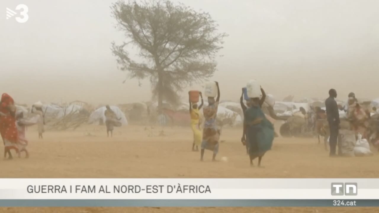 La cruel confluencia de guerra y hambre en el noreste de África