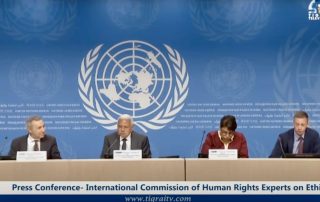 Conferencia de prensa de la Comisión Internacional de Expertos de Derechos Humanos en Etiopía