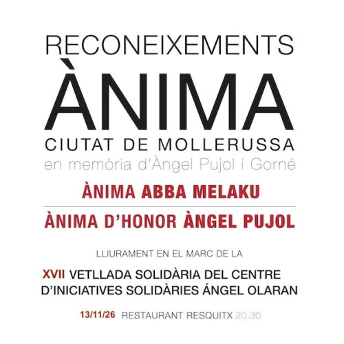 Inscripció XI Reconeixements Ànima i XVII Vetllada Solidària Ángel Olaran